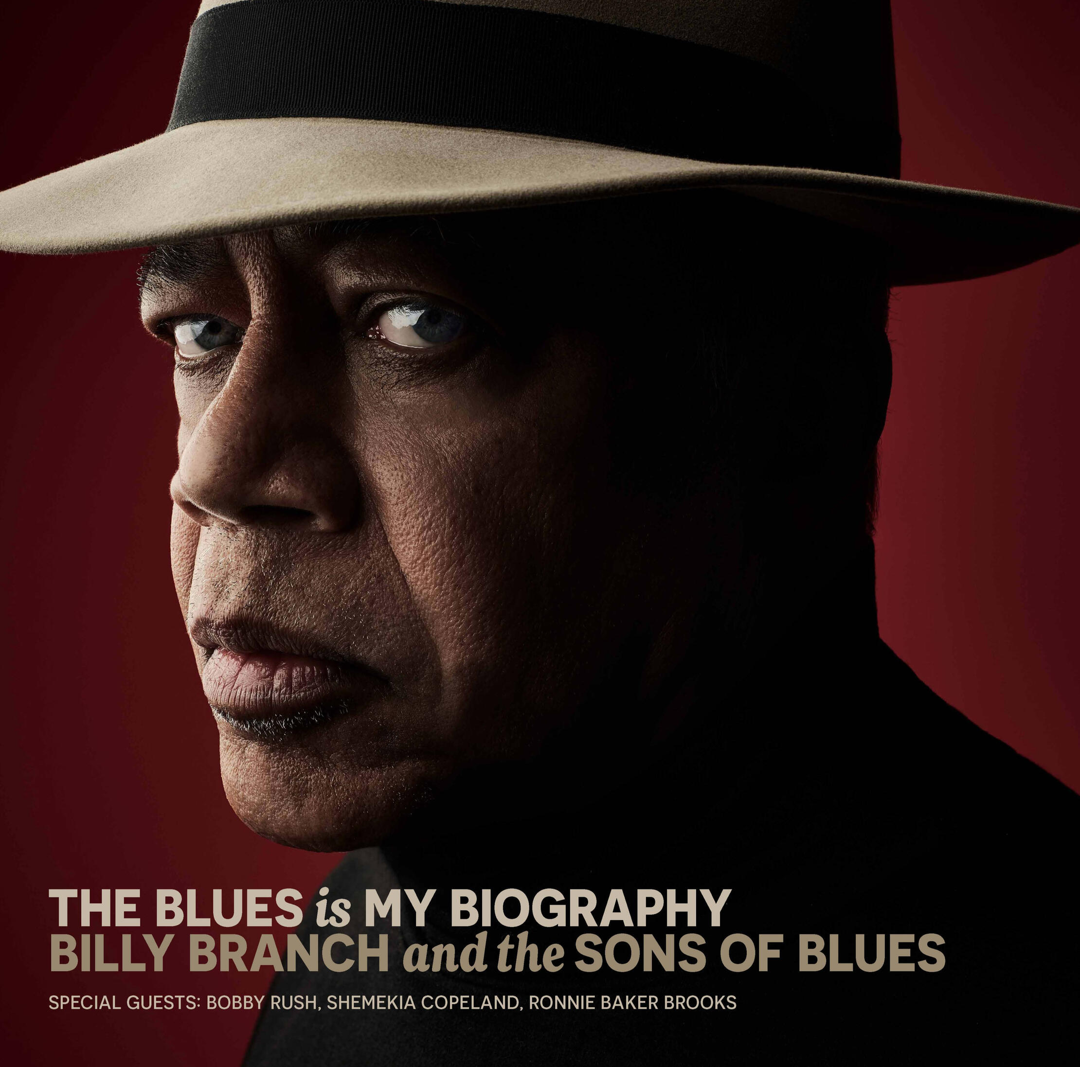 The Blues is My Biography — album cover